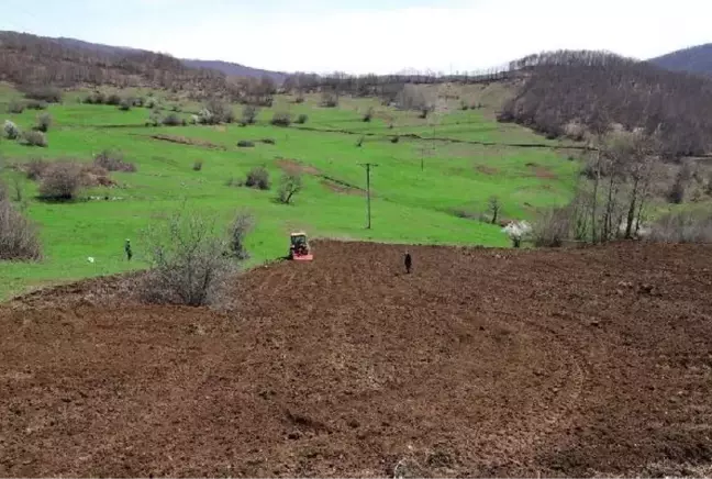 Ordu'da atıl araziler ekonomiye 75 milyon TL kazandırdı