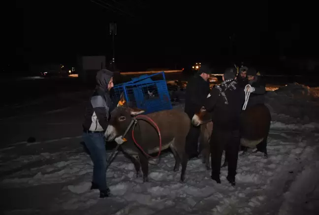 ŞANLIURFA - Siverek'te donma tehlikesi geçiren eşekler barınağa götürüldü