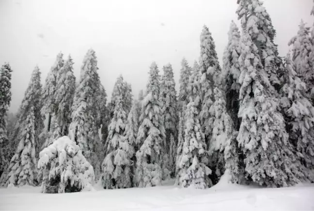 Bolu'nun yüksek kesimlerinde kar yağışı