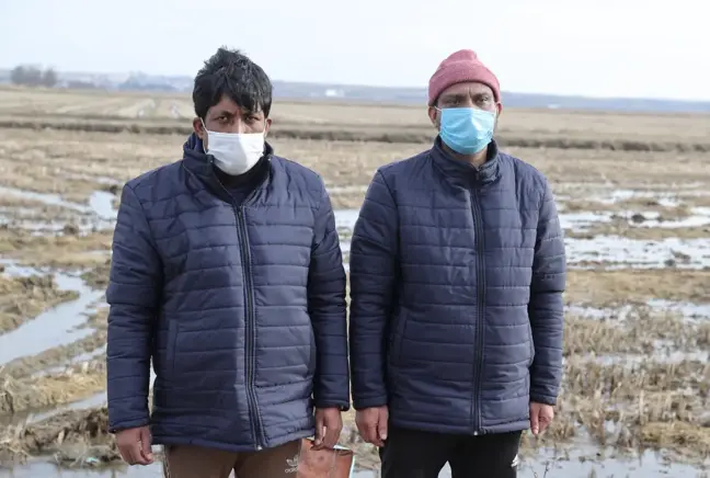 Yunanistan sınırında donarak ölen düzensiz göçmenlerin arkadaşları yaşadıklarını anlattı