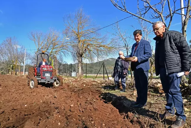 Coğrafi işaret tescilli 200 Fethiye kaya inciri fidanı toprakla buluştu