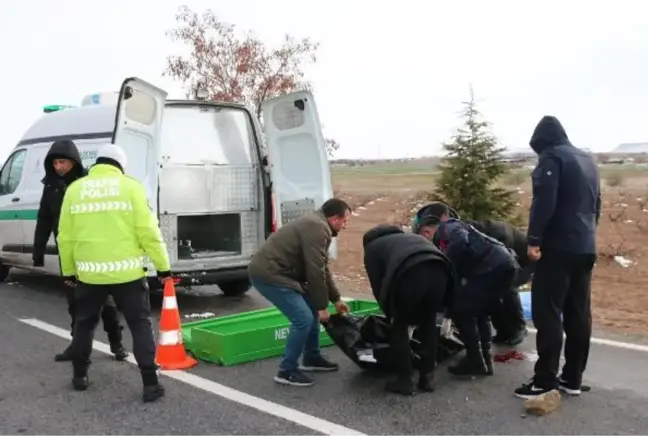 REFÜJE GİREN OTOMOBİL TAKLA ATTI 1 ÖLÜ, 2 YARALI