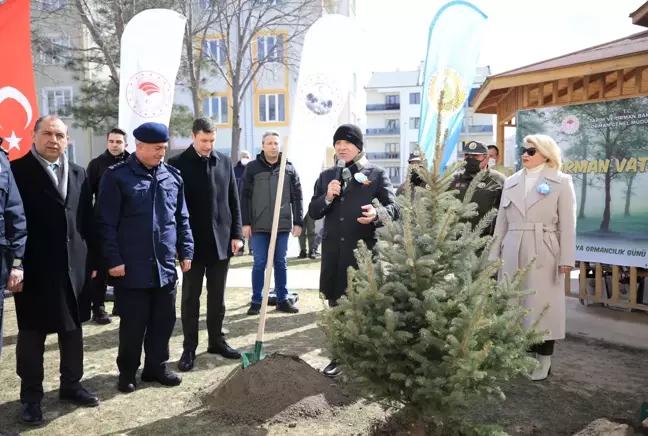 Dünya Ormancılık Günü ve Orman Haftası kapsamında fidanlar toprakla buluşturuldu