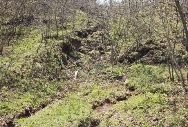 Ordu'da heyelan nedeniyle bahçe ve yollar zarar gördü