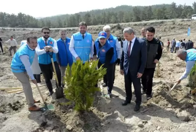 Gurbetçilerden Manavgat'a 250 bin fidan bağışı