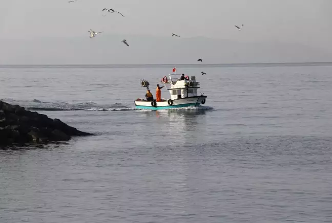 Tekirdağ'da ağlara takılmaya başlayan tekir, balıkçıları umutlandırdı