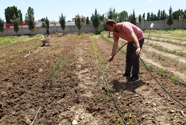 Caminin atıl durumdaki bahçesini meyve ve sebze bahçesine dönüştürdüler