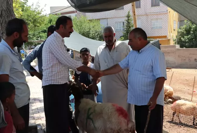 Gaziantep ve çevre illerde kurban pazarlarında hareketlilik yaşanıyor