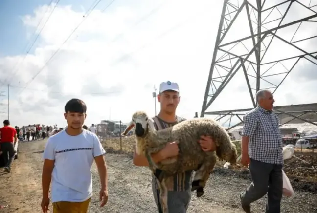 (ek bilgiyle) - Sultangazi'de kaçak kesim yapanlara ceza yağdı