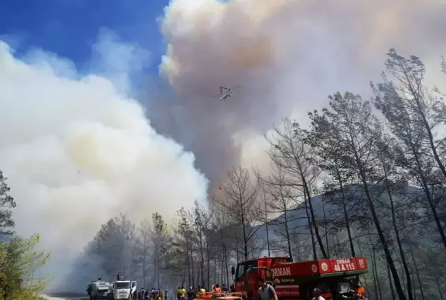 Muğla haber! Marmaris'te alevlerle mücadele 7 saattir devam ediyor