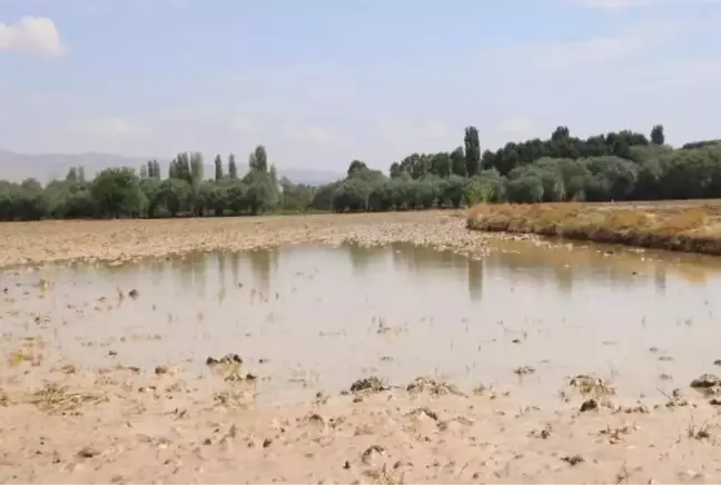 Nevşehir'de Sel Felaketi: Ekili Alanlarda Hasar Tespit Çalışmaları Başladı