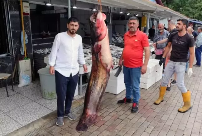 Samsun'da 94 kilogramlık yayın balığı satışa çıkarıldı