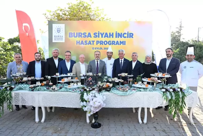 Bursa'nın 'siyah incisi'nde hasat başladı