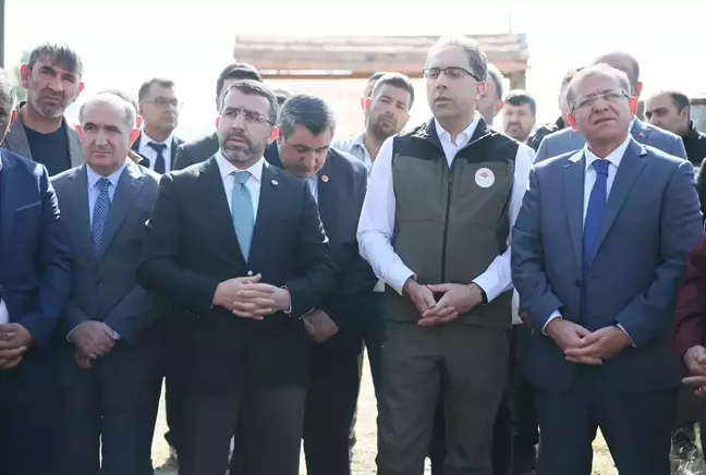 BUZAĞI ÖLÜMLERİNİ ENGELLEMEK İÇİN KARS'TA ÜRETİCİLERE 'AĞIZ SÜTÜ' DAĞITILDI