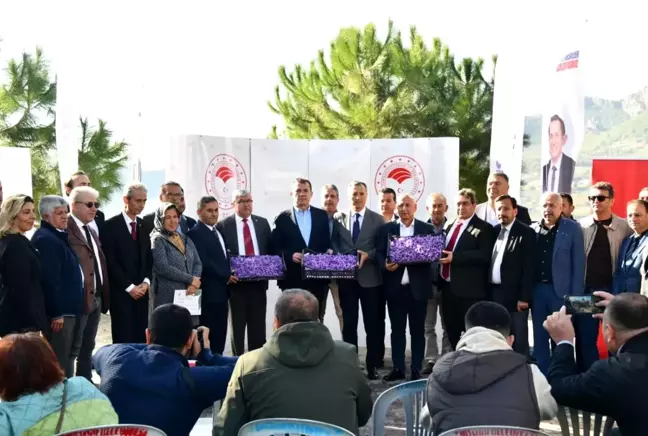 Yenişehir'de Safran Üretimi Üçüncü Yılında