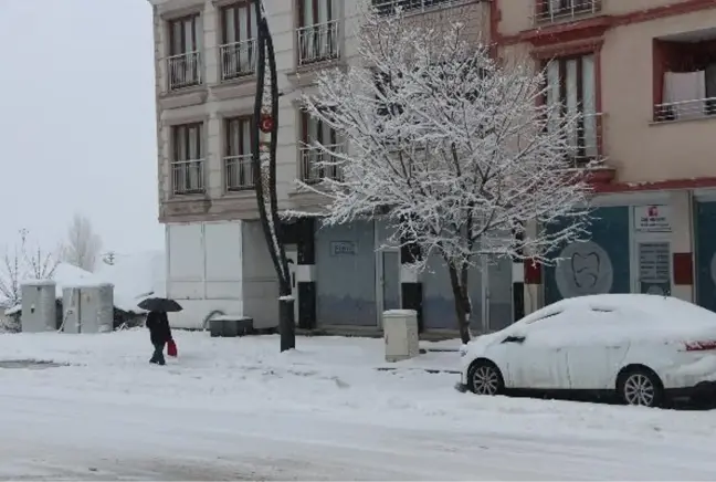 Karlıova ilçesinde 10 köy yolu kar yağışı nedeniyle ulaşıma kapandı