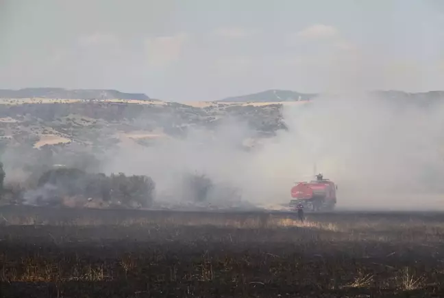 Manisa'da çıkan yangınlar kontrol altına alındı