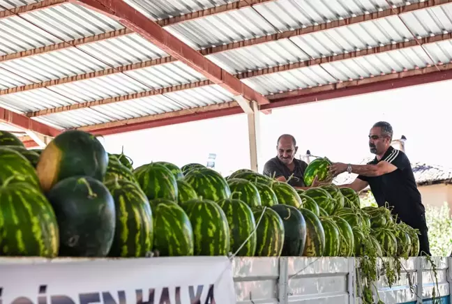 Denizli Büyükşehir Belediyesi Üreticilerin Karpuzlarını İhtiyaç Sahiplerine Dağıtacak