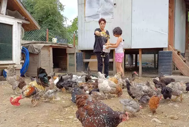 Anemi Hastası Kadının Köy Hayatı