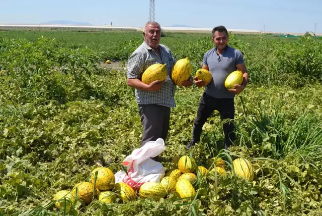 Manisalı çiftçilerden ücretsiz kavun-karpuz dağıtımı