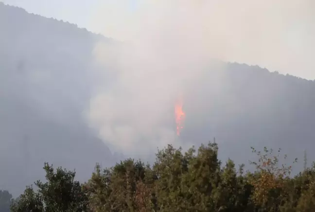 Denizli'deki orman yangınında 4'üncü güne girildi