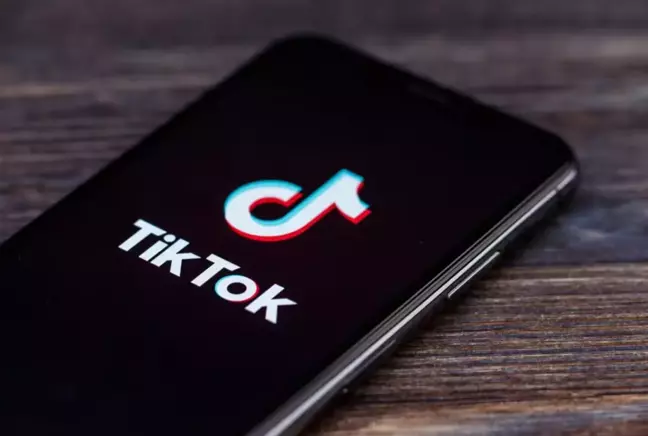 Arnavutluk'tan TikTok'a 1 yıllık yasak