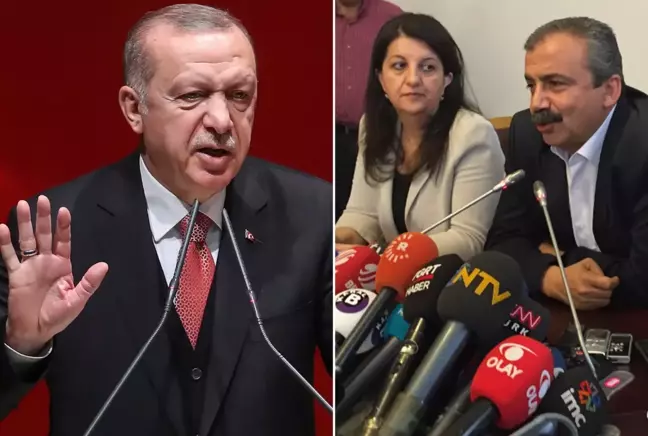 DEM Partili Koçyiğit'den İmralı mesajı: Bu süreç Erdoğan'sız olamaz