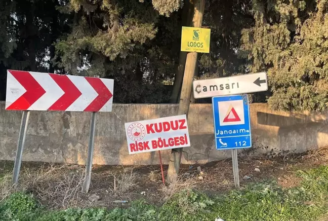 Hatay'da kuduz alarmı: Bir mahalle riskli alan ihale edildi