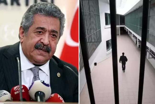 MHP Genel Başkan Yardımcısı Feti Yıldız'dan çok konuşulacak 'af' açıklaması