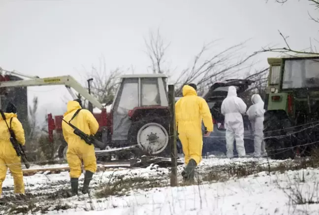 Almanya'da 35 yıl sonra şap vakası görüldü