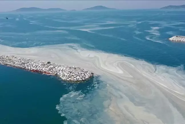 Marmara Denizi'nde musilaj alarmı! Uzmanlardan dikkat çeken uyarılar