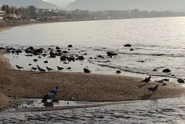 Deniz suyu 7-8 metre çekildi, akıllara Ege'deki deprem fırtınası geldi