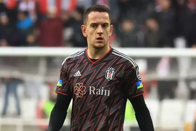 Amir Hadziahmetovic, Beşiktaş'a geri döndü