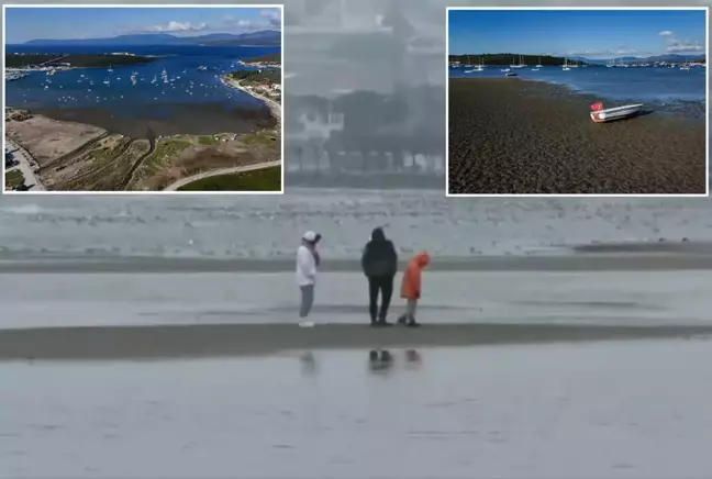 İstanbul ve İzmir'de deniz suyu çekildi, uzmanlardan art arda açıklamalar geldi