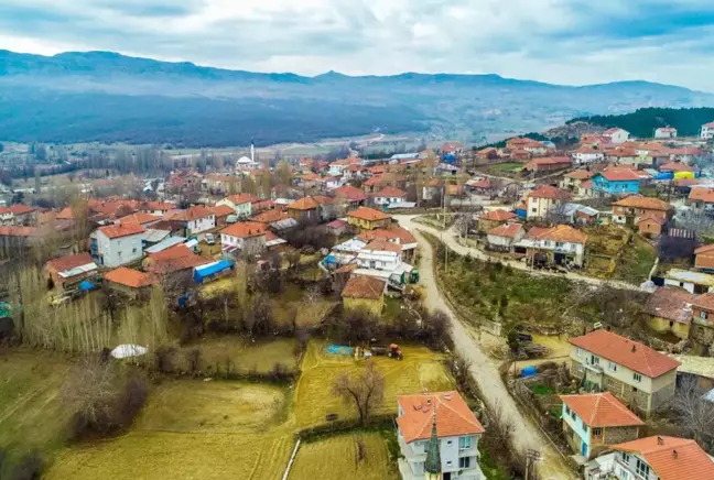 Yalnızlığın bu kadarı! Bu 5 köyde yalnızca 1'er kişi yaşıyor