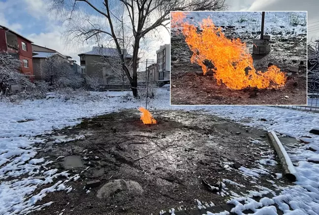 Kar yağışı da durduramadı! 5 gündür arazinin ortasında öylece yanıyor