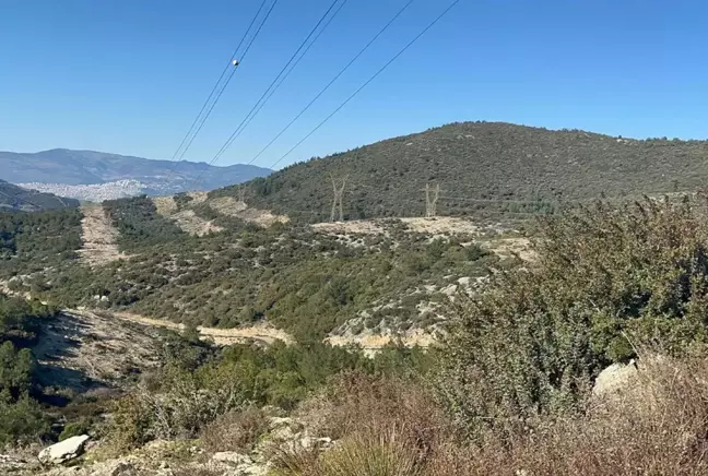 Av sırasında kazayla 12 yaşındaki oğlunu öldürdü