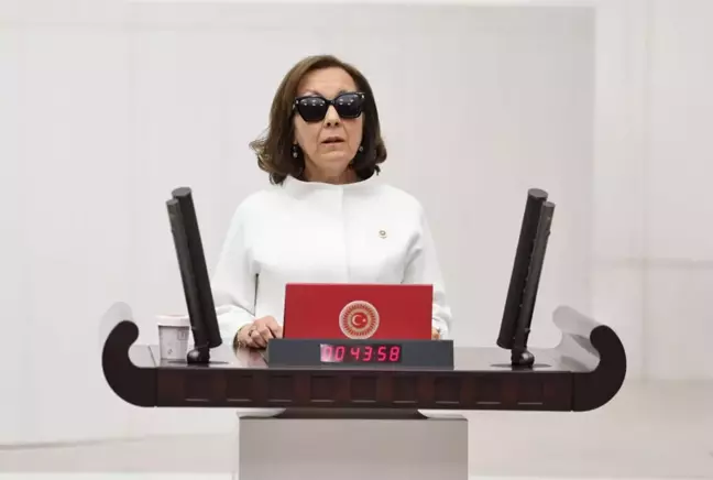Dün partisinden istifa eden Serap Yazıcı Özbudun, AK Parti'nin yeni MKYK listesinde