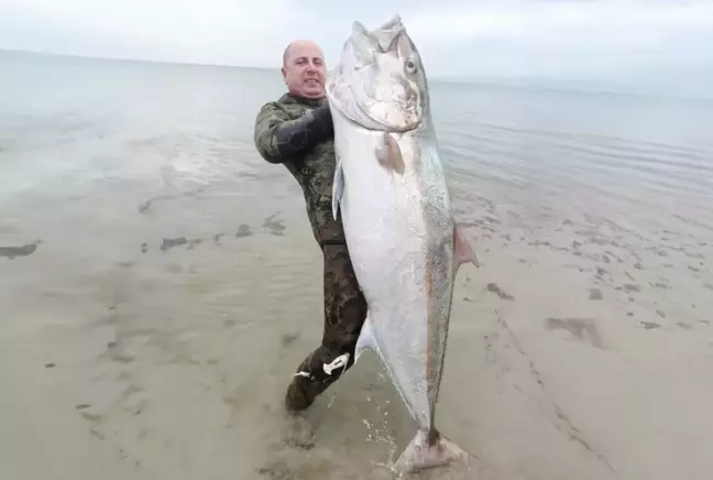 Zıpkınla 1.8 metre boyunda akya balığı avladı