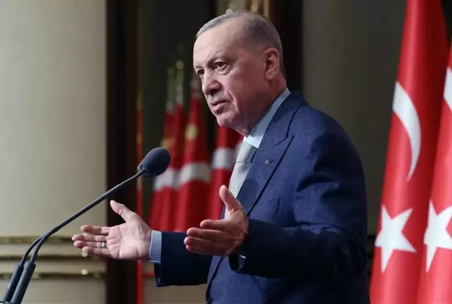 2 yaşındaki Rana'nın ölümünün ardından Erdoğan'dan sokak hayvanlarına ilişkin mesaj