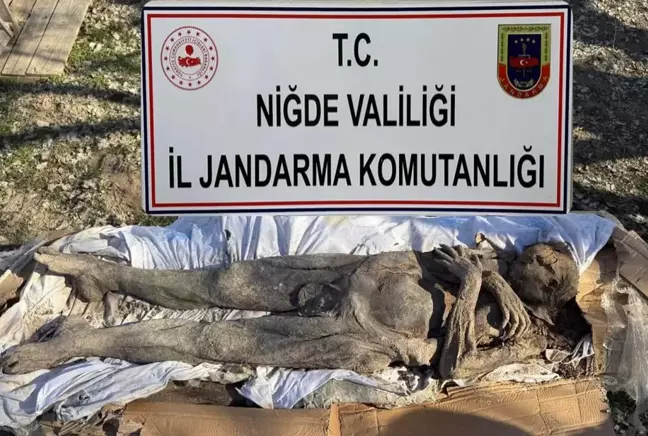 Niğde'de Orta Çağ dönemine ait mumya satmaya çalışan 6 kişi yakalandı