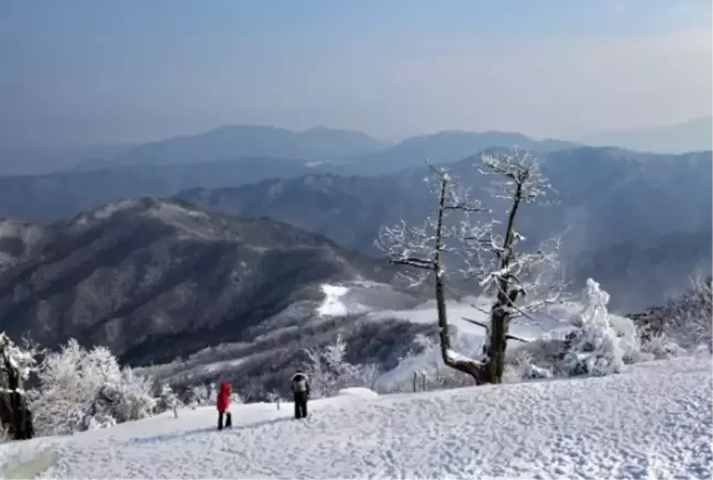 Kastamonu okullar tatil mi SON DAKİKA? 18 Mart Salı Kastamonu okul yok mu (Kastamonu Valiliği Açıklaması)!