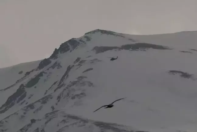 Artos Dağı'nda dağcılar mahsur kaldı, birinin ayağı kırıldı
