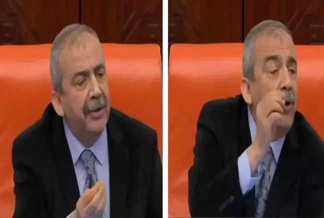 Sırrı Süreyya Önder'den AK Partili vekillere tepki: Canımı sıkmayın dışarı çıkarırım