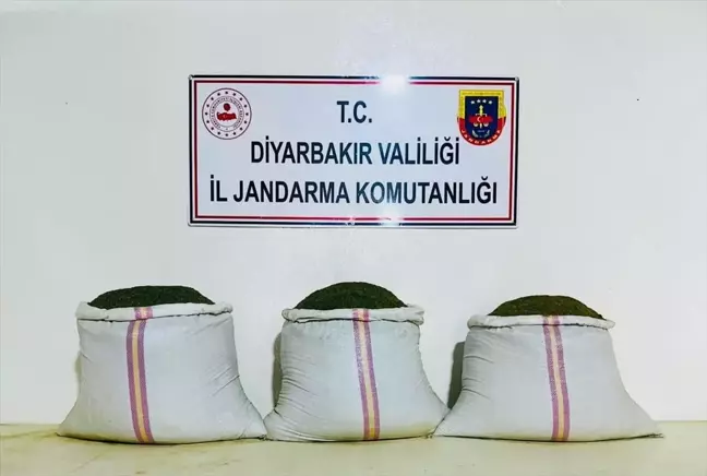 Diyarbakır'da Uyuşturucu Operasyonu: 18 Bin Kök Hint Keneviri Ele Geçirildi