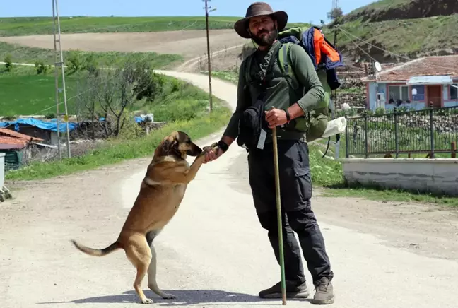 Köpeği 'Yoldaş' ile 3,5 yıldır şehir şehir gezerek fidan dikiyor
