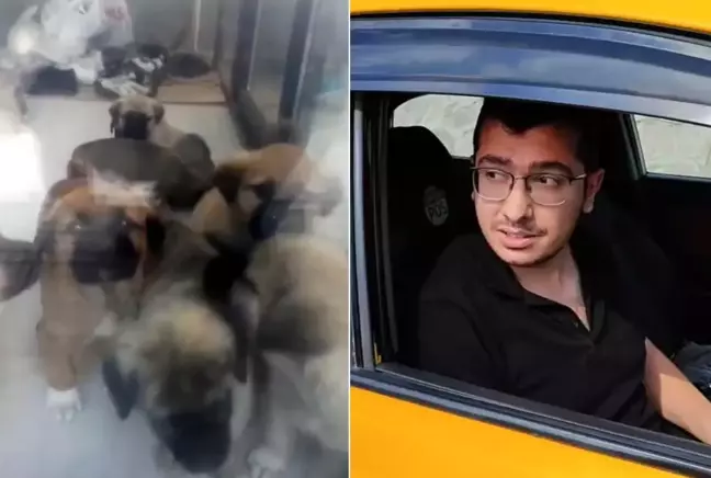 Parçalayıp öldürdüğü köpek sayısı 26'ya ulaştı! Doktor, savunmasında polisleri suçladı