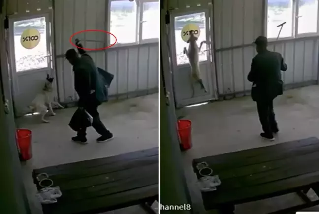 81 yaşındaki adam köpeği bastonuyla acımasızca dövdü