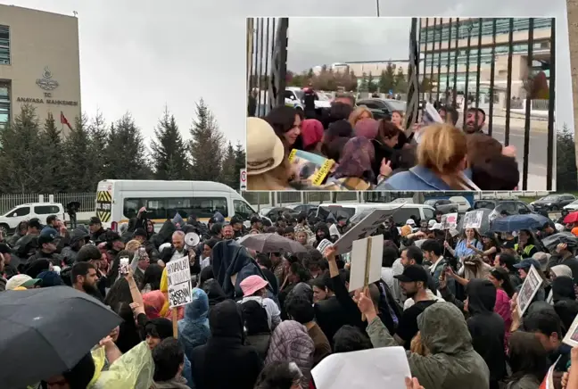 Sokak hayvanları kararı sonrası hayvanseverler AYM'nin kapısına dayandı