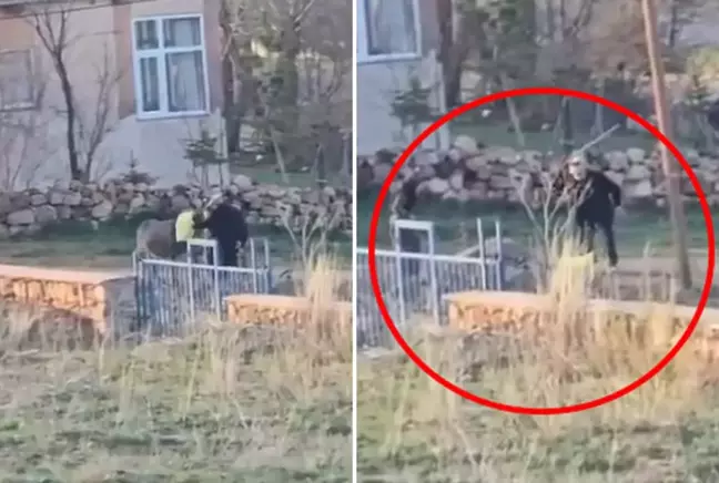 Bunu yapan 80 yaşındaki bir şahıs! Eşeğe sopalı eziyet kamerada